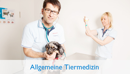 Allgemeine Tiermedizin