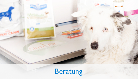 Beratung