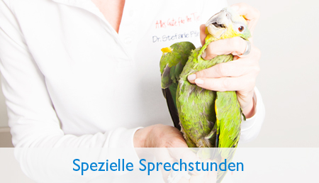Spezielle Sprechzeiten
